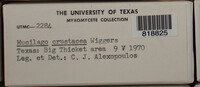 Image Associated With the Occurence